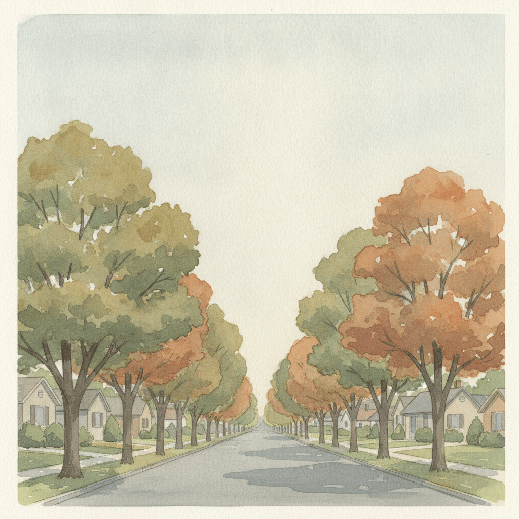 An abstract editorial illustration of a quiet Colorado Springs residential street with mature trees, viewed in early autumn light, in daylight with…